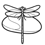 image pour coloriage Libellule enfant
