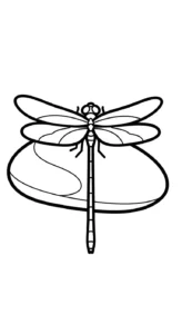 image pour coloriage Libellule enfant