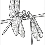 coloriage Libellule et decoupage a imprimer gratuit