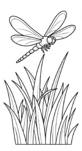 coloriage Libellule à imprimer gratuit
