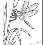 coloriage Libellule educatif pour enfant