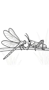 coloriage Libellule pour enfant de 6 ans