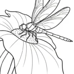coloriage Libellule à imprimer kawaii