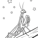 coloriage Mante et découpage à imprimer