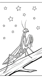 coloriage Mante et découpage à imprimer