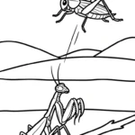 coloriage Mante pour enfant gratuit