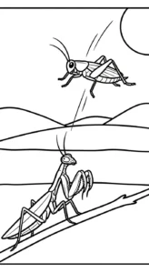 coloriage Mante pour enfant gratuit