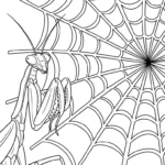 coloriage Mante en ligne pour enfant