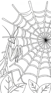 coloriage Mante en ligne pour enfant