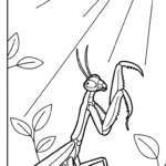 coloriage Mante a imprimer pour enfant de 4 ans