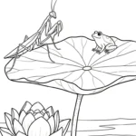 image pour coloriage Mante enfant