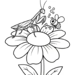coloriage Mante pour bebe a imprimer