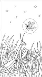 coloriage Mante à imprimer gratuitement
