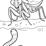 coloriage Mante à imprimer pour enfant de 3 ans