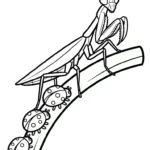 coloriage Mante pour enfant de 7 ans