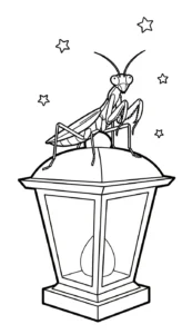 coloriage Mante a telecharger