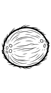 coloriage Noix de Coco et dessins