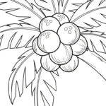 télécharger coloriage Noix de Coco gratuit