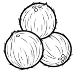 coloriage Noix de Coco gratuit pour enfants