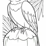 coloriage Noix de Coco a imprimer gratuit