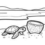 coloriage Noix de Coco et dessin a imprimer