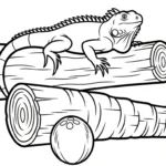 coloriage Noix de Coco gratuit a imprimer