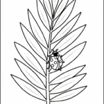 imprimer coloriage Été updated pour enfant