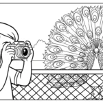coloriage Parc zoologique pour enfant à imprimer