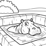 coloriage Parc zoologique a telecharger
