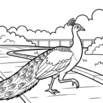 coloriage Parc zoologique pour enfant