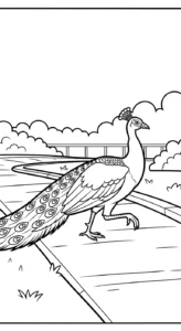 coloriage Parc zoologique pour enfant