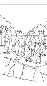 coloriage Parc zoologique a telecharger