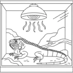 coloriage Parc zoologique à imprimer gratuit