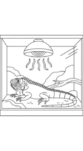 coloriage Parc zoologique à imprimer gratuit