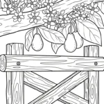 coloriage Avocat à imprimer pour enfant de 12 ans