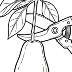 coloriage Avocat gratuit à imprimer