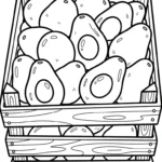image de coloriage Avocat pour enfant
