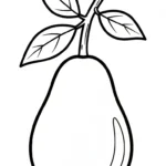 coloriage Avocat a imprimer pour enfant de 4 ans