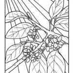 coloriage Avocat gratuit a imprimer