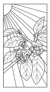 coloriage Avocat gratuit a imprimer
