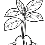 coloriage Avocat et apprentissage