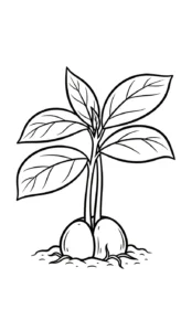 coloriage Avocat et apprentissage