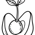 coloriage Avocat pour enfant a imprimer gratuit