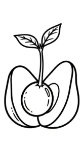 coloriage Avocat pour enfant a imprimer gratuit