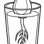 imprimer coloriage Avocat pour enfant