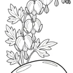 coloriage Cœur de Marie en ligne