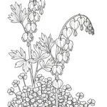 coloriage Cœur de Marie et dessin a imprimer