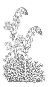 coloriage Cœur de Marie et dessin a imprimer