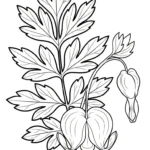coloriage Cœur de Marie à imprimer a4