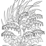 coloriage Cœur de Marie a imprimer gratuitement